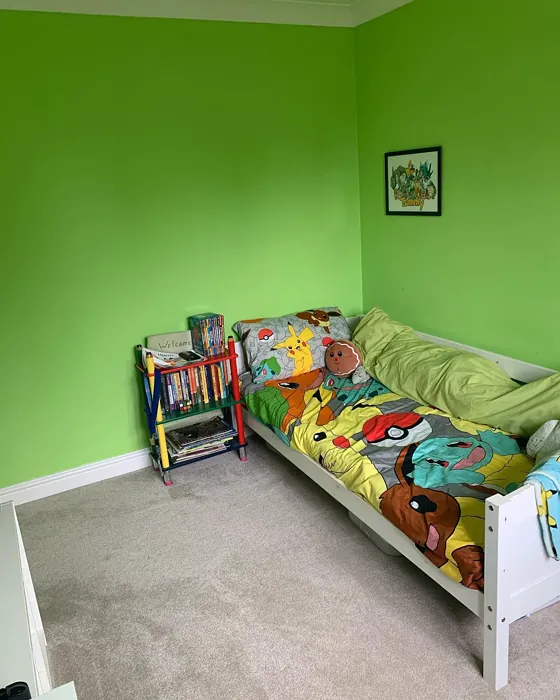 Dulux Kiwi Burst 3 kids' room color review