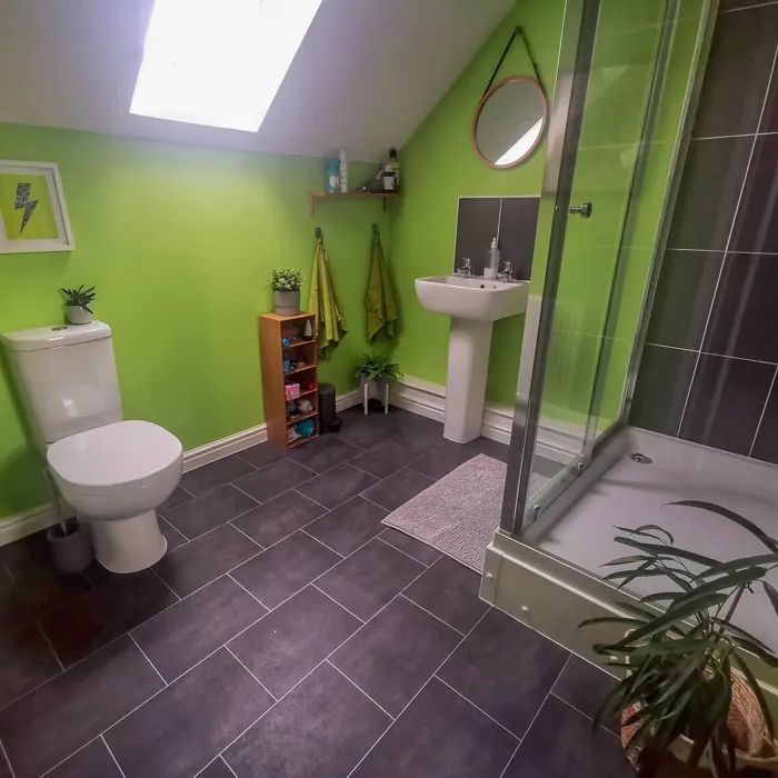 Dulux Kiwi Crush bathroom color