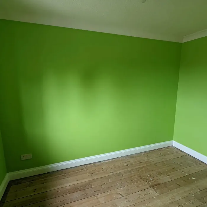 Dulux Kiwi Crush wall paint 