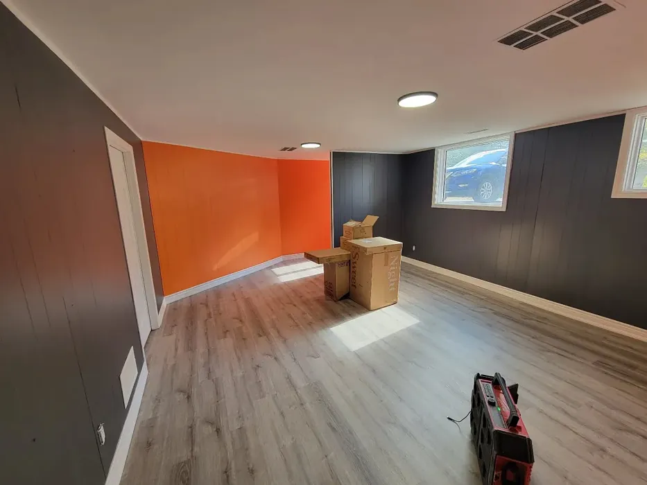 SW Knockout Orange accent wall picture