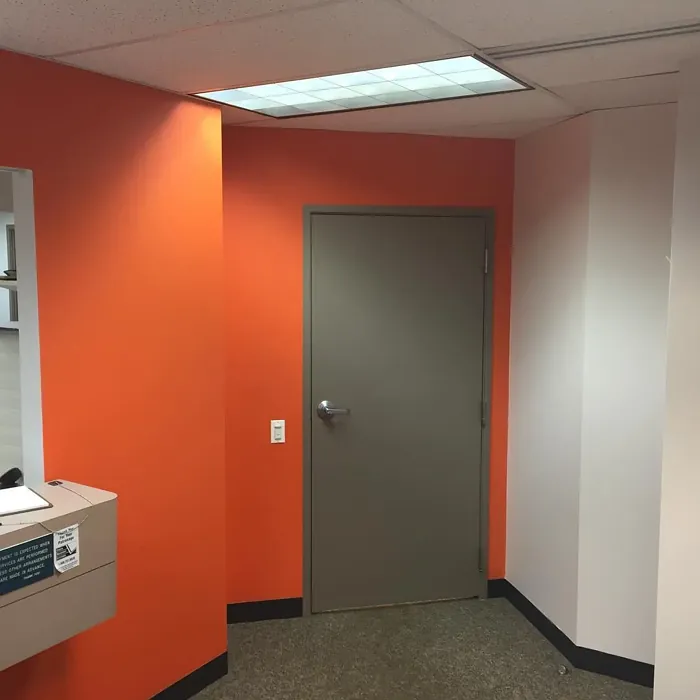 SW Knockout Orange accent wall color review