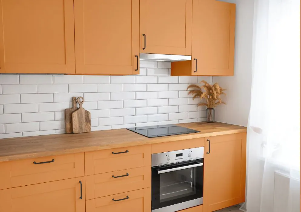 Sherwin Williams Kumquat kitchen cabinets