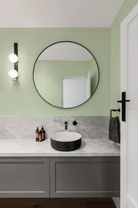Sherwin Williams Lacewing minimalist bathroom