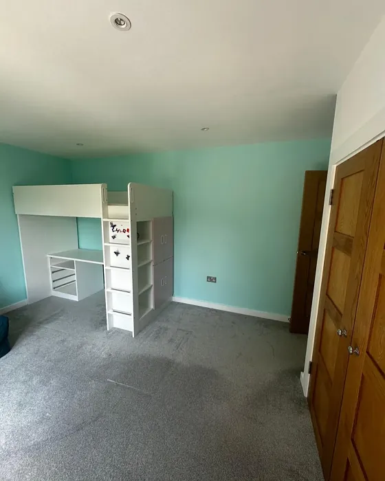 Dulux Lagoon Falls accent wall paint