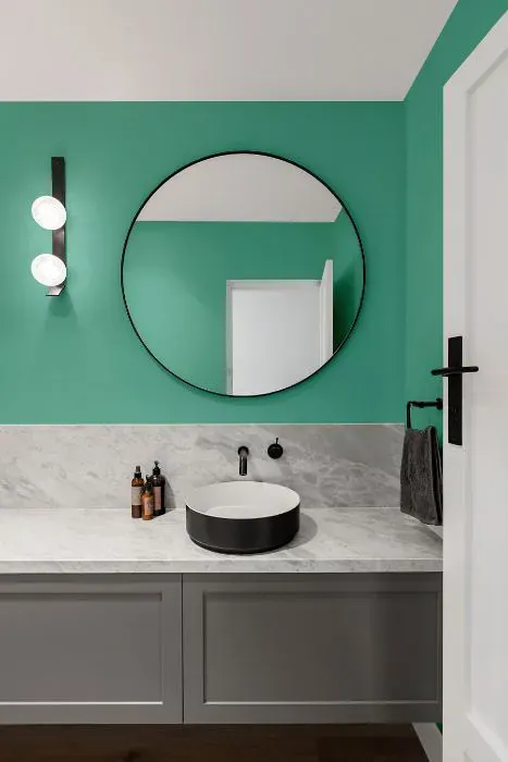 Sherwin Williams Larchmere minimalist bathroom