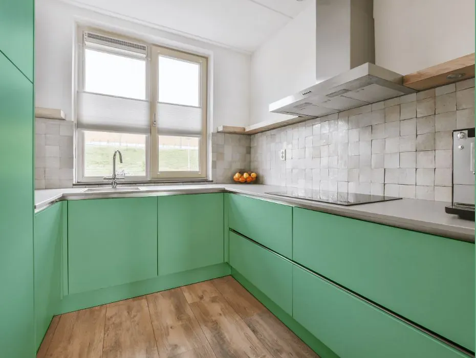 Sherwin Williams Lark Green small kitchen cabinets