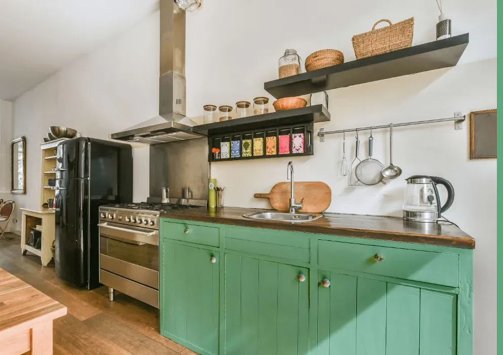 Sherwin Williams Lark Green kitchen cabinets