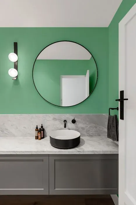Sherwin Williams Lark Green minimalist bathroom