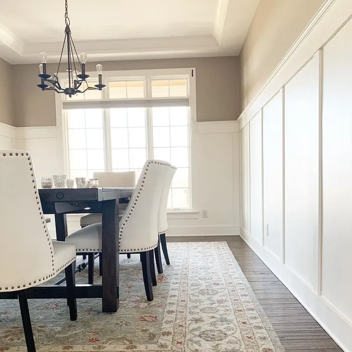 Sherwin Williams Latte modern dining room interior