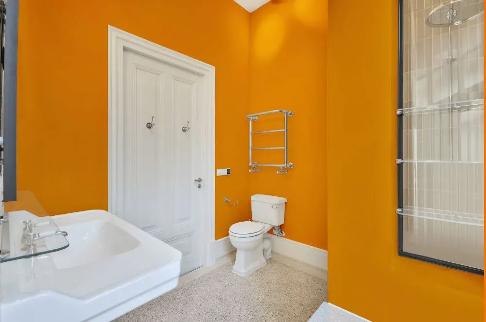 Sherwin Williams Laughing Orange bathroom