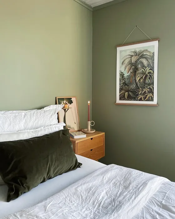 Jotun Laurel bedroom paint review