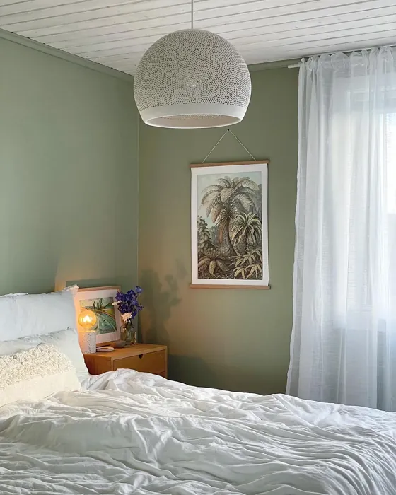 Jotun 8302 cozy bedroom paint review