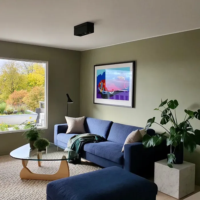 Jotun Laurel living room paint review