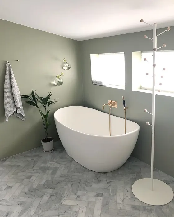 Jotun Laurel bathroom color review