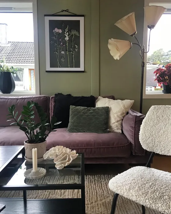 Jotun Laurel living room color