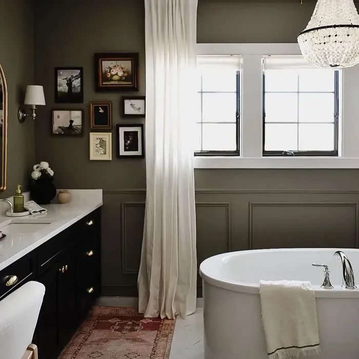 Sherwin Williams Lauriston Stone Bathroom