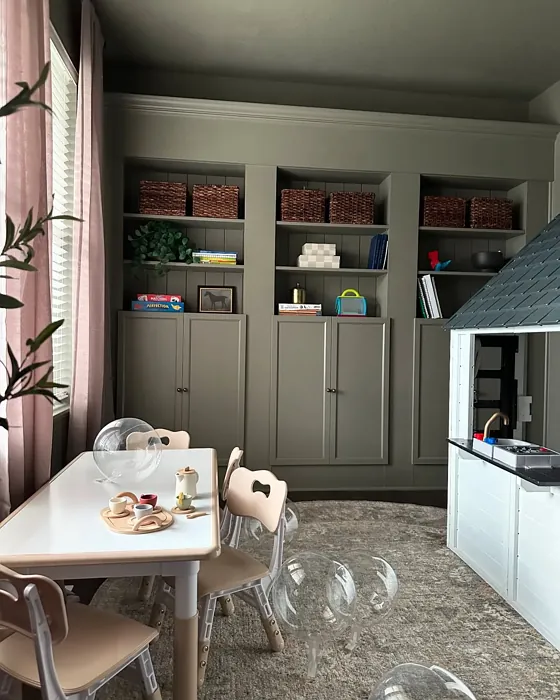 Sherwin Williams Lauriston Stone accent wall 