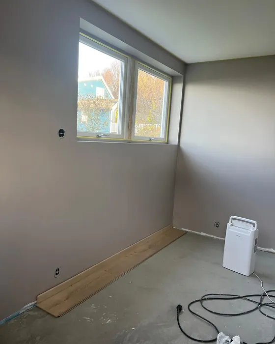 Lavender Touch wall paint photo