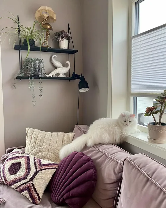 Lavender Touch living room photo