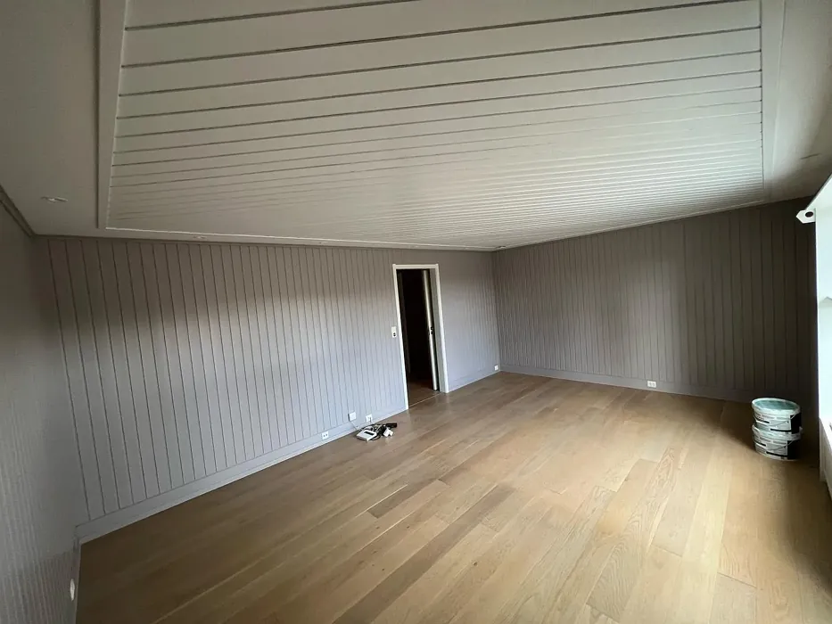 Jotun Lavender Touch wall paint paint review