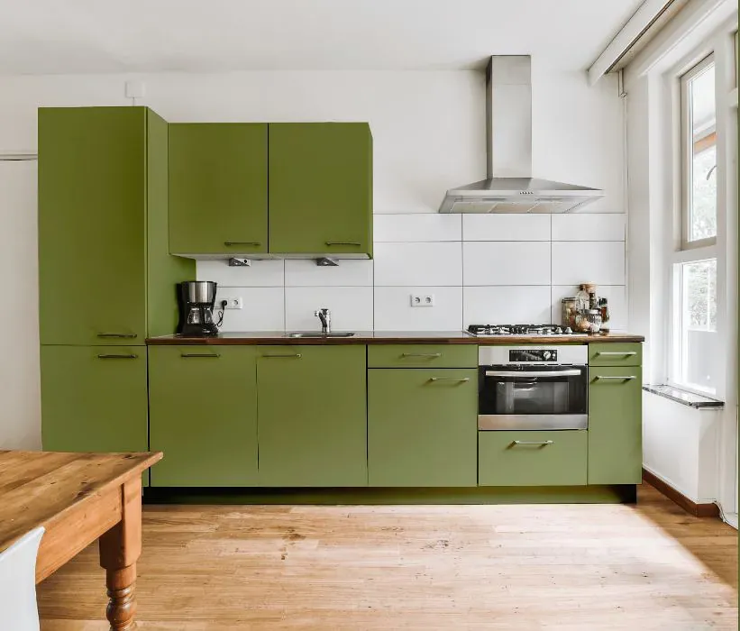 Sherwin Williams Leapfrog kitchen cabinets