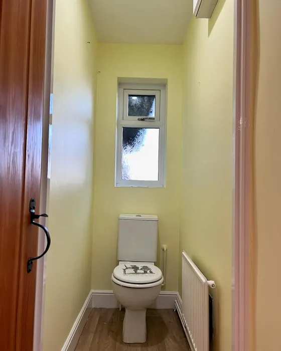 Lemon Spirit bathroom review