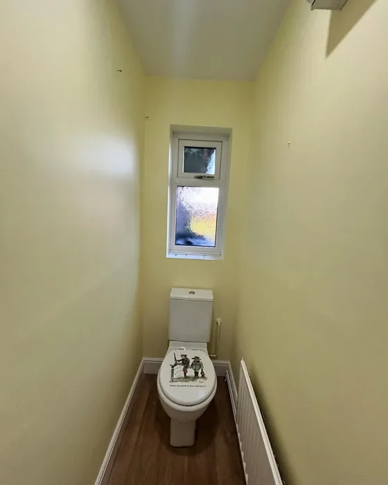 Lemon Spirit bathroom color