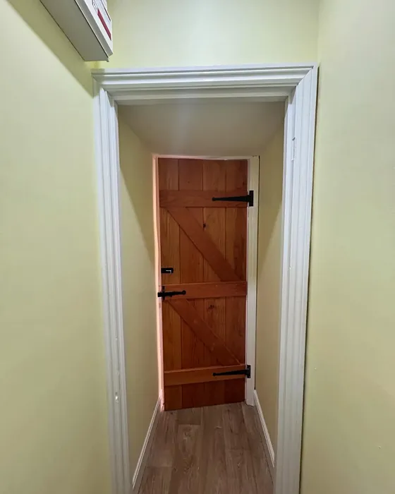 Dulux Lemon Spirit hallway color