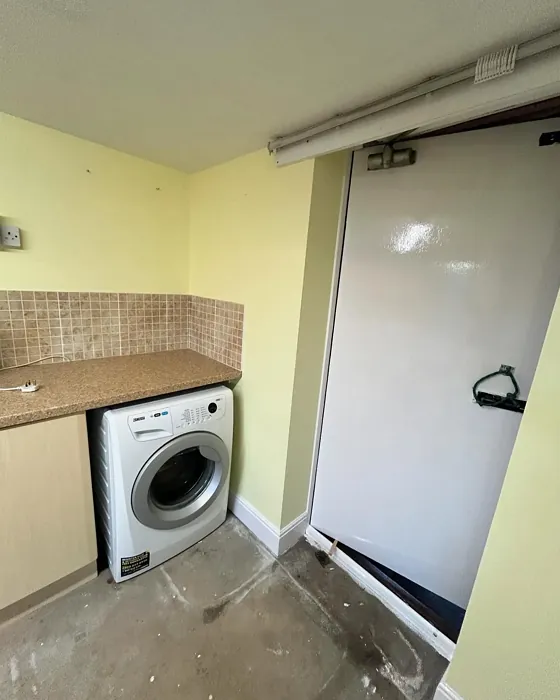 Dulux Lemon Spirit utility room 