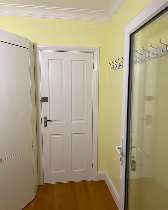 Dulux Lemon Spirit hallway color