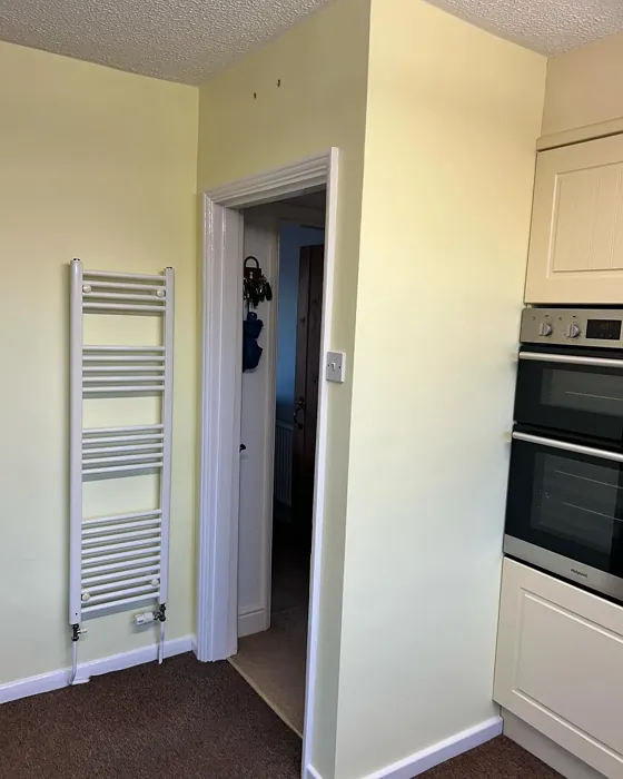 Lemon Spirit kitchen paint review