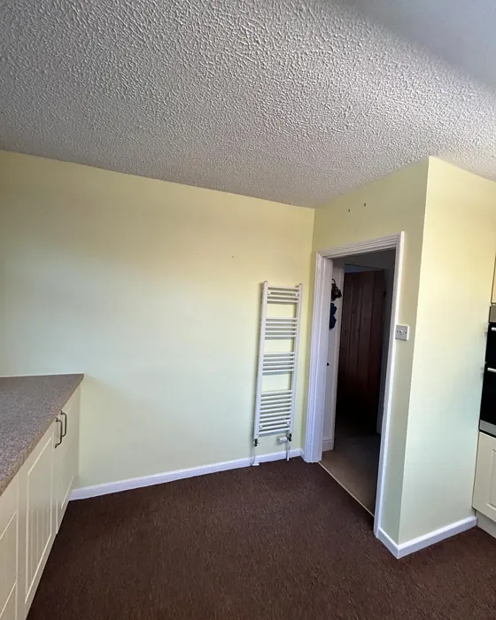 Lemon Spirit kitchen review