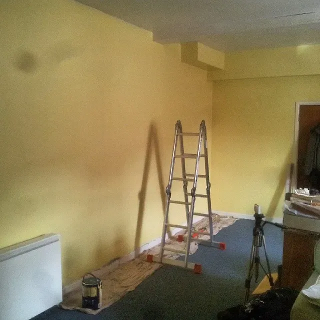 Dulux Lemon Tropics wall paint 