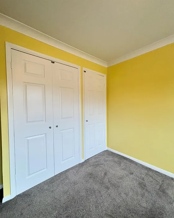 Dulux Lemon Tropics wall paint makeover