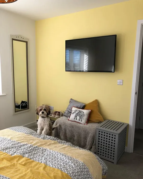 Lemon Tropics accent wall color