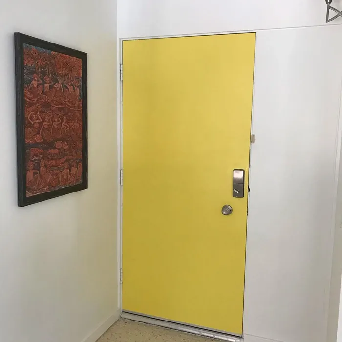 Lemon Twist Door