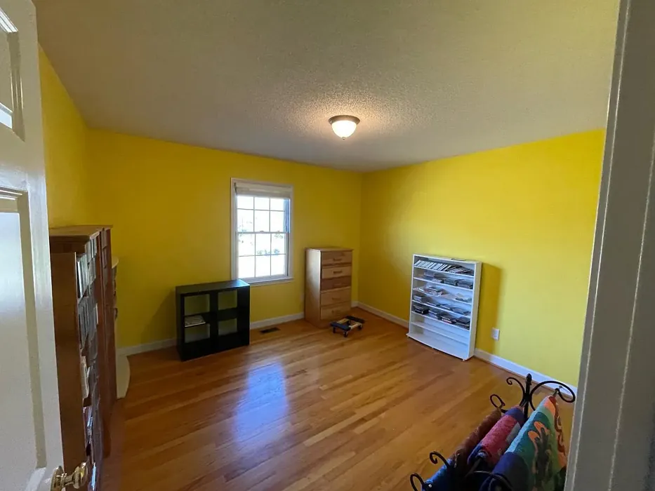Sherwin Williams Lemon Twist wall paint review