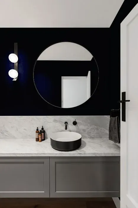 Sherwin Williams Liberty Blue minimalist bathroom