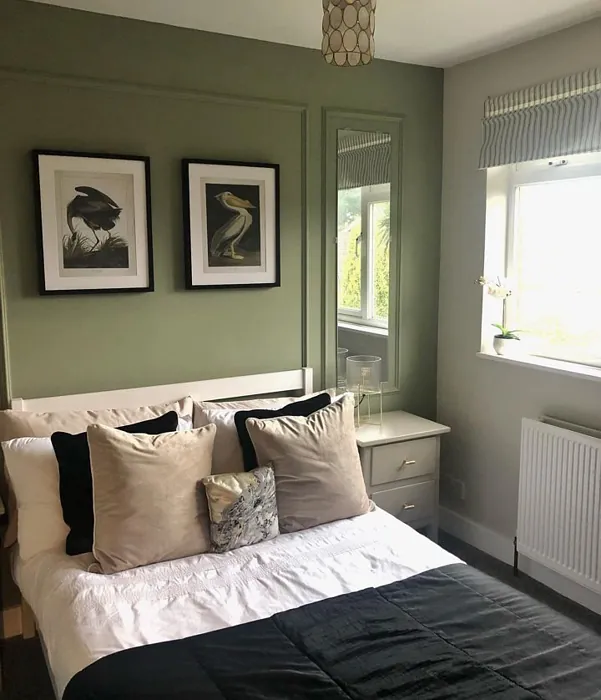 Farrow And Ball Lichen 19 Paint Color