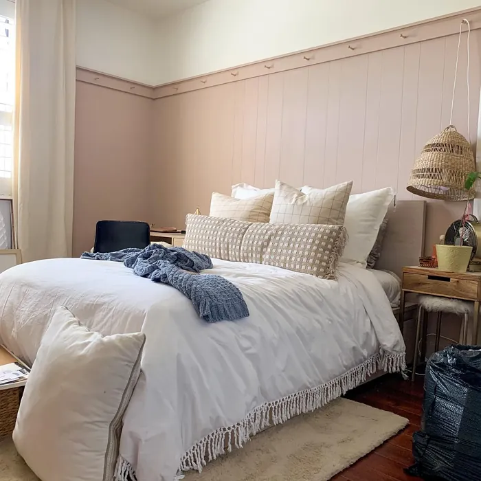 Sherwin Williams Likeable Sand bedroom panelling color