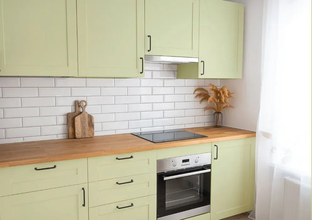 Sherwin Williams Lime Granita kitchen cabinets