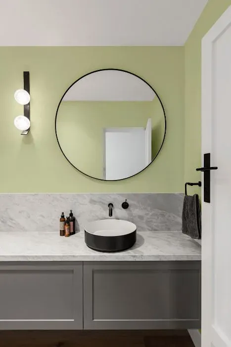 Sherwin Williams Lime Granita minimalist bathroom
