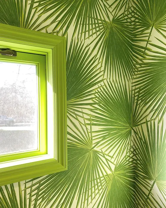 Lime Rickey Window