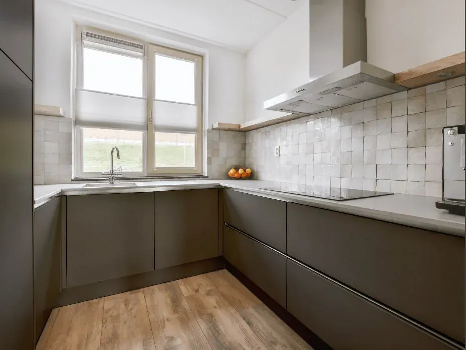Sherwin Williams Limestone small kitchen cabinets