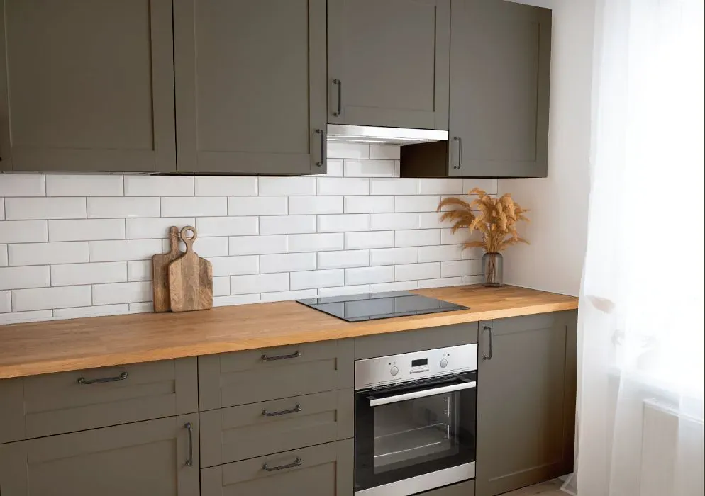 Sherwin Williams Limestone kitchen cabinets