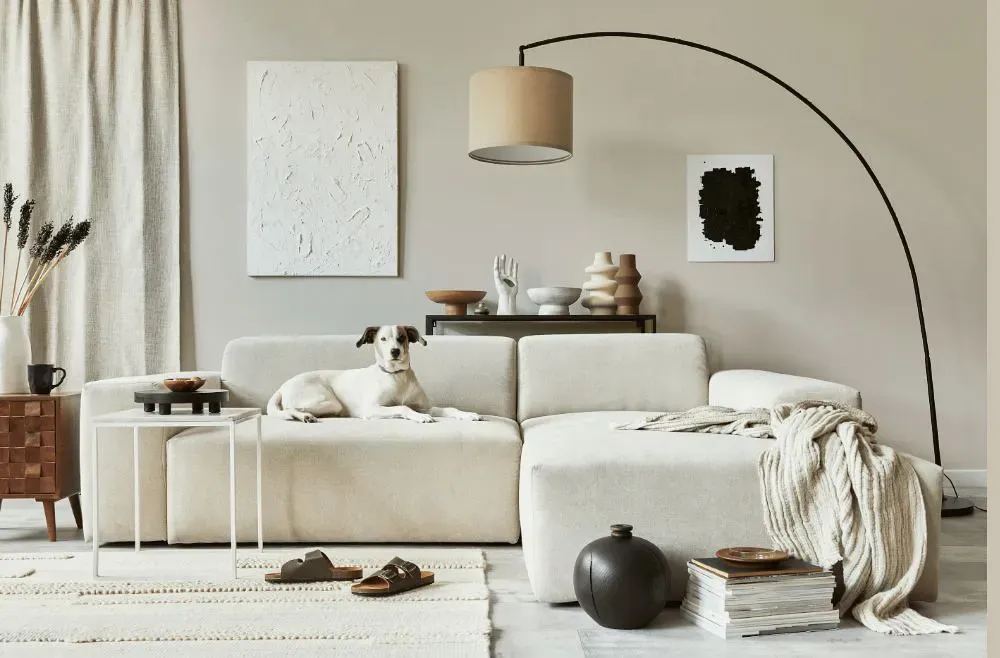Sherwin Williams Limewash cozy living room