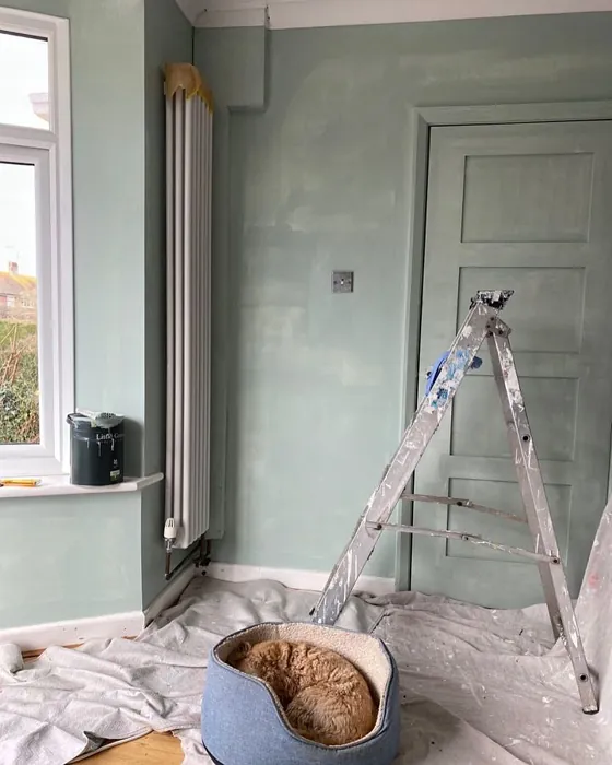 Little Greene Aquamarine - Mid 284 review