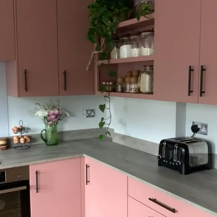 Little Greene Blush kitchen cabinets color
