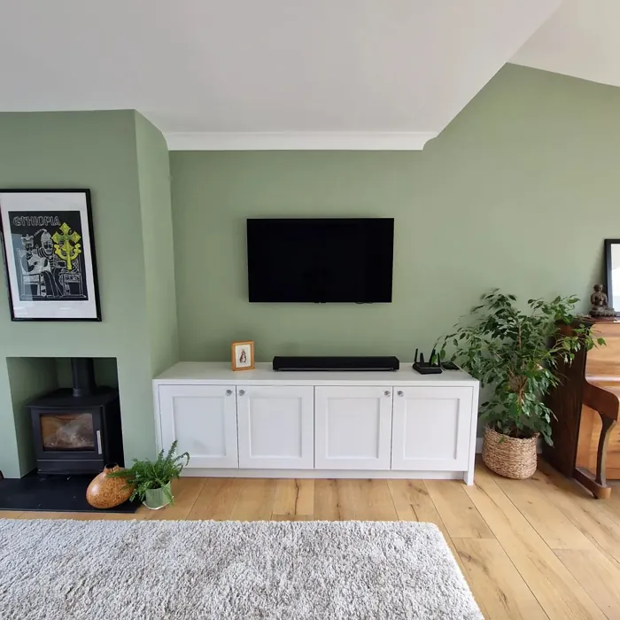 Little Greene Boringdon Green 295 living room fireplace
