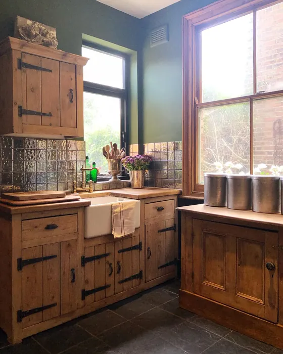 Little Greene Jewel Beetle kitchen interior